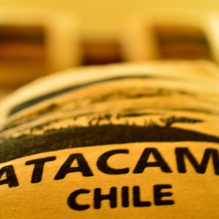 Chill-Atacama Bed and Breakfast San Pedro De Atacama Esterno foto